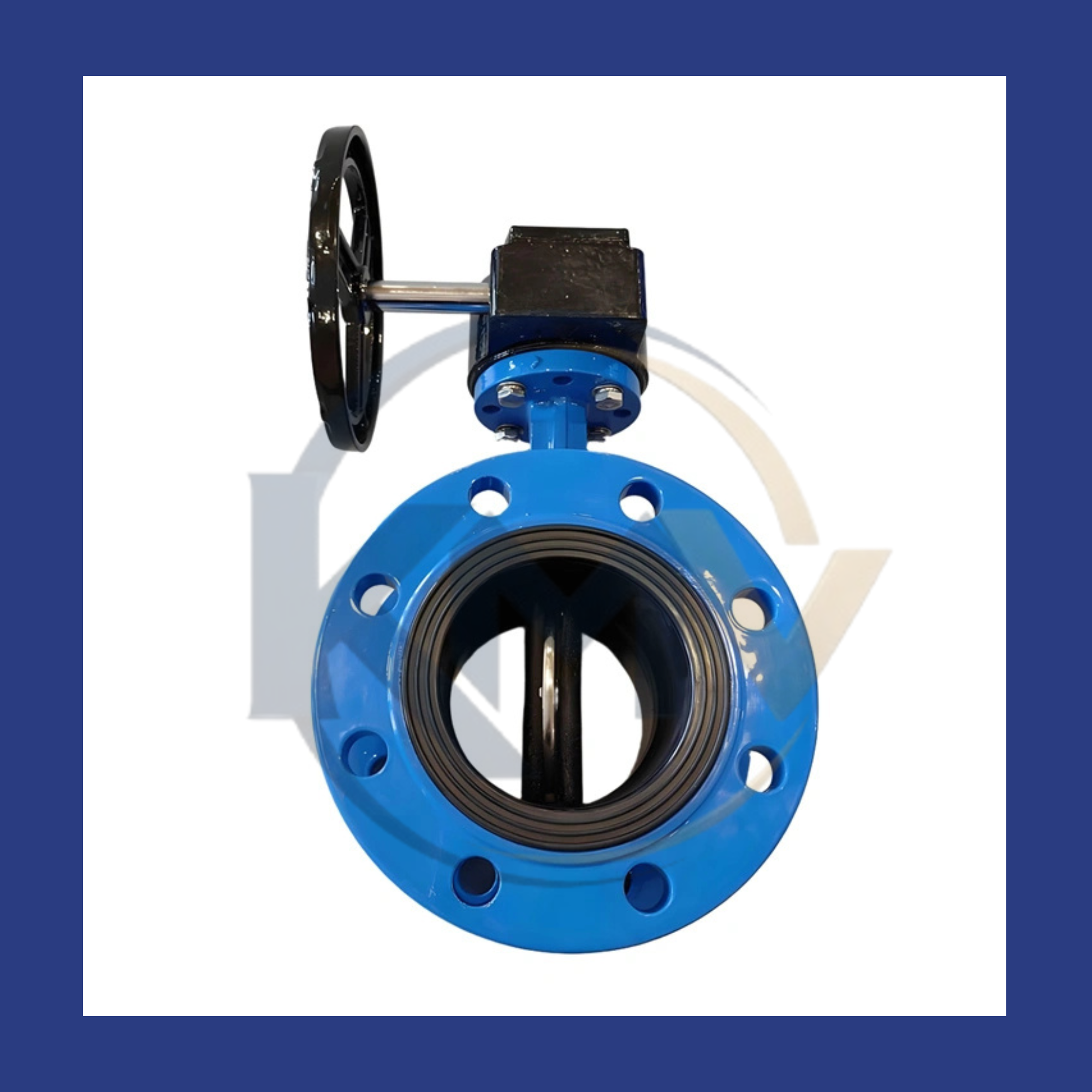 Concentric Butterfly Valve